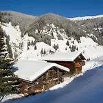 Radlehenhuette * Grossarl