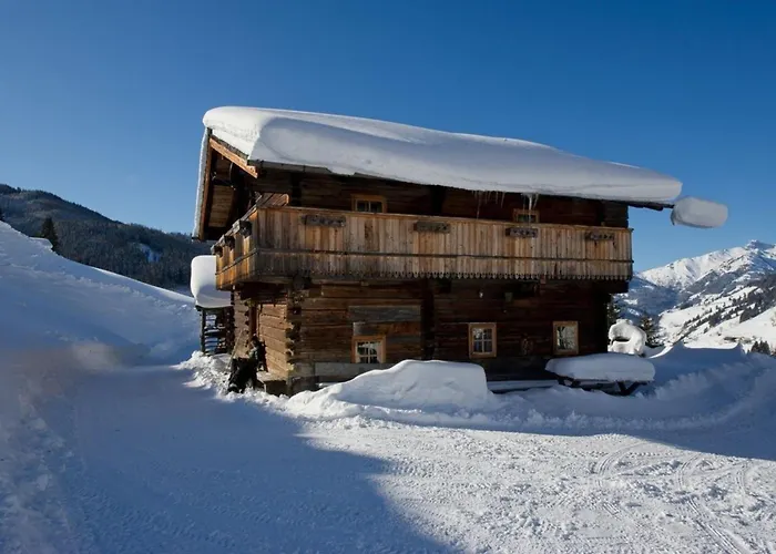 Radlehenhuette * Grossarl