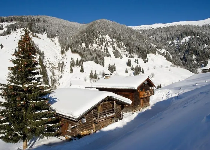 Radlehenhuette * Grossarl