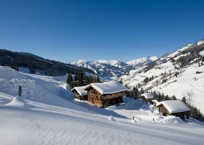 Radlehenhuette * Grossarl